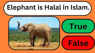 True Or False Quiz ✅❌ | Islam Quiz  #clearquizchannel #quiz #quizgames