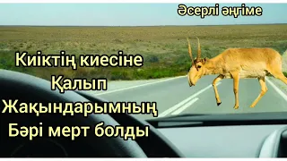 Киіктің киесі. #аудиокітап қазақша әңгімелер