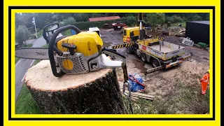 GIGA MONSTER BOMEN VERWIJDEREN MET KRAAN