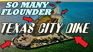 Fishing GALVESTON Texas City Dike for FLOUNDER!! |  Catching LIMIT | MOST FLOUNDER This Year