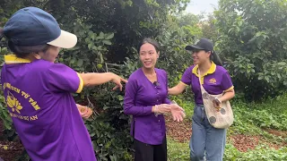 Lần đầu tiên làm bún chả giò sầu riêng bất ngờ khi đoàn khách ghé tham quan khu vườn thôn nữ cà mau