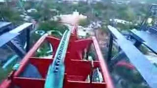 Sheikra busch gardens Tampa,FL