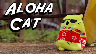 Meet Aloha Cat!