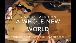 A Whole New World - Steel Tongue Drum Cover