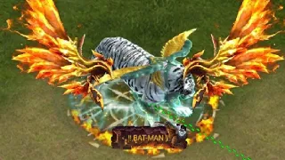 Clash Of Kings : Decoration Lottery - Tiger/ZEUS Skin / WINGS for 2 Million Gold - MUST WATCH