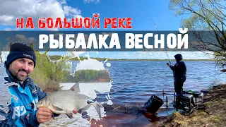 Рыбалка весной. Фидер на большой реке. Мотыля нафиг, арому нафиг, только РЕЗАНЫЙ ОПАРЫШ и точка!