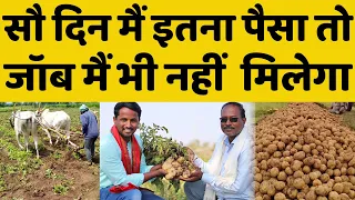 आलू की खेती कब और कैसे करें🤔🤔Potato Farming Profit | आलू खेती का खर्चा, मुनाफा, खाद, बीज और रोग