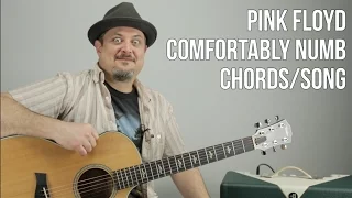 Pink Floyd - Comfortably Numb - Chords, Song Tutorial - How to Play On Guitar