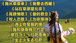 草原情歌我从草原来我要去西藏站在草原望北京高原情歌