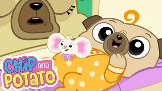 Chip and Potato | Chip's Baby Sister // After School Chip | Cartoons For Kids | Watch on Netflix