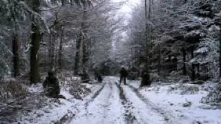 Bastogne 2008 Daylight Patrol.AVI