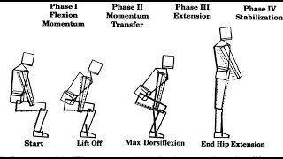 Biomechanics and of the Sit to Stand final