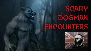 Scary Dogman Encounter Stories Found Of Reddit Volume 2