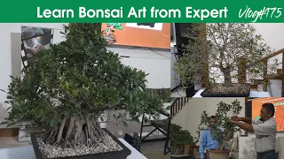 Learn Bonsai art from expert