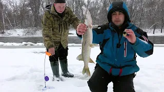 Ловимо Щуку на Десні. Зимова Риболовля на Жерлиці