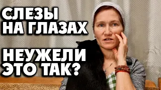 Я БЫЛА В ШОКЕ😱 ЭТО НЕ ПРАВИЛЬНО❗ КОШКИ МЫШЕЛОВКИ И БАБУШКИ-ЦВЕТОЧКИ pets rescue 28 января 2023