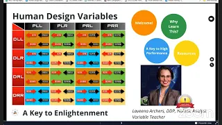 Introduction to Human Design Variables