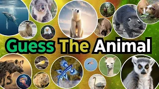 Guess The Animal In 3 Seconds Quiz || Animal Name Challenge