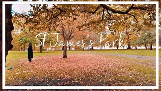 Autumn walk around St. James's Park |  Relaxing video in 4K | London Royal Park