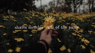 shawn mendes - life of the party (slowed)