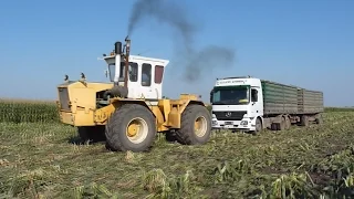 Rába Steiger 250 - Kamion mentések! Truck stuck in mud!