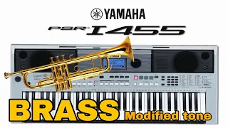 Modified Brass tone for yamaha PSR i455 i425 i500 (HIGH QUALITY)