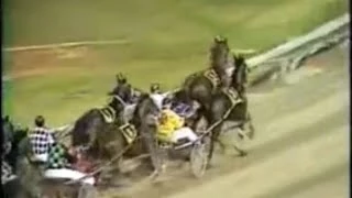 Harness Racing,Gloucester Park (W.A) 19/03/1982 Inter-Dominion Grand Final (Rhett's Law-C.Warwick)