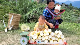 Go with your two children to get bamboo shoots to sell