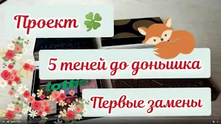 Проект 🌺 5 теней до донышка 🌿🌺🌿 первые замены 🌿