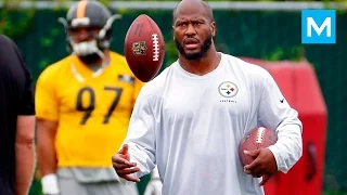 James Harrison NFL Strength Training | Muscle Madness