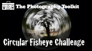 Circular Fisheye Photography with Nikon 8-15mm Lens