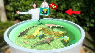 Buying Expensive SEA CREATURE For My Backyard SALTWATER POND!!