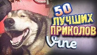 Самые Лучшие Приколы Vine! (ВЫПУСК 85) [17+]