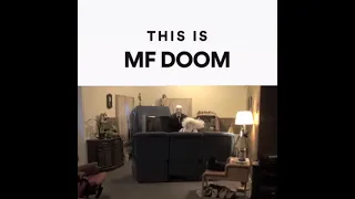 This is MF DOOM (Slenderman gets WHAT?!?!)