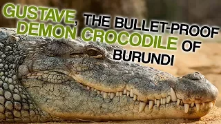 The Bulletproof Demon Crocodile of Burundi (Corporal Ben Dover)