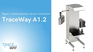 Маркировка: станция агрегации TraceWay A1.2