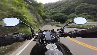 Mountain Melee 🏔️🏍️ - Early Morning High-Octane Run | Exhaust Mounted Mic | Triumph Tiger 1050