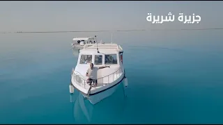 برنامج سين | البحر الأحمر - الحلقة ١٠ كاملة