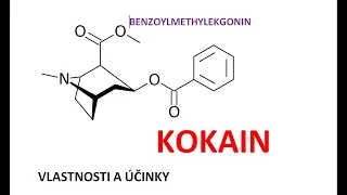 Kokain - benzoylmethylekgonin - vlastnosti, účinky a nežádoucí účinky