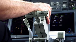 COCKPIT - Boeing 737 Pilot Throttle Inputs during Landing