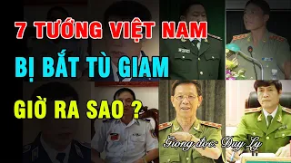 7 tướng Việt Nam bị bắt tù giam giờ ra sao? Tướng nào án nặng nhất? | Duy Ly Radio