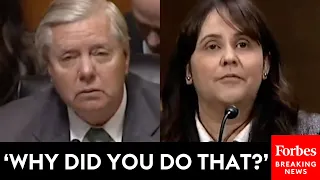 Lindsey Graham Grills Judicial Nominee About Light Sentence For Convicted Child Sex Predator