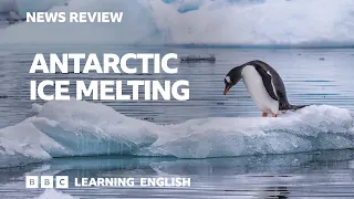 Antarctic ice melting: BBC News Review