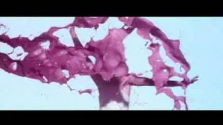 Sophie Ellis-Bextor - Bittersweet (Freemasons Remix) VIDEO