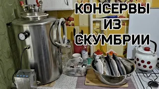 Вкуснейшие домашние консервы из скумбрии (Рецепты для автоклава)