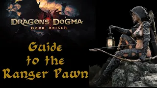 Dragon's Dogma Dark Arisen: ULTIMATE Guide to END GAME Ranger Pawn