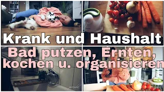 MamaAlltag l Putzmotivation, Ernte, Kochen für Familie und Hund