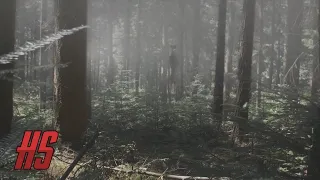 "Siren Head Wails Through Darrington Forest In Broad Daylight" August 22, 2020 | HollywoodScotty VFX