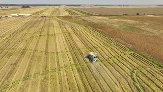 M&L Farm Rice Harvest Drone 360