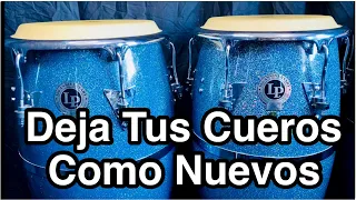 Deja Tus Parches De Conga y Bongos Como Nuevos Naturales y Sintéticos